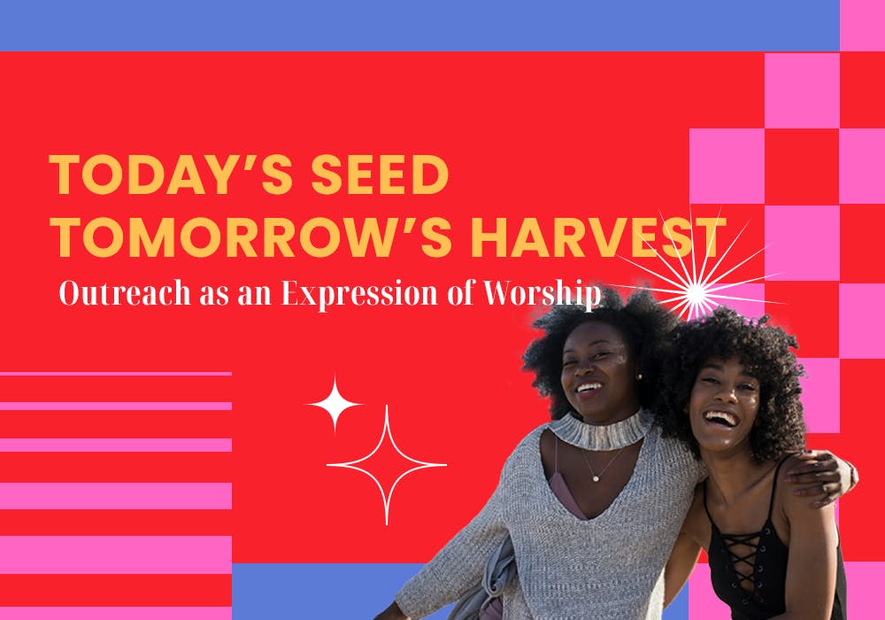 WOW: Today's Seed, Tomorrow's Harvest