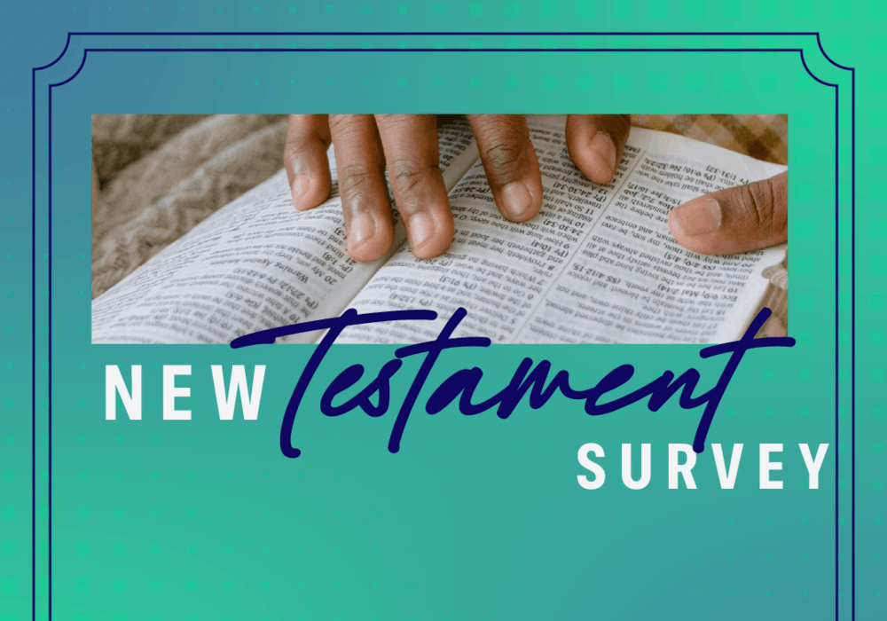 New Testament Survey